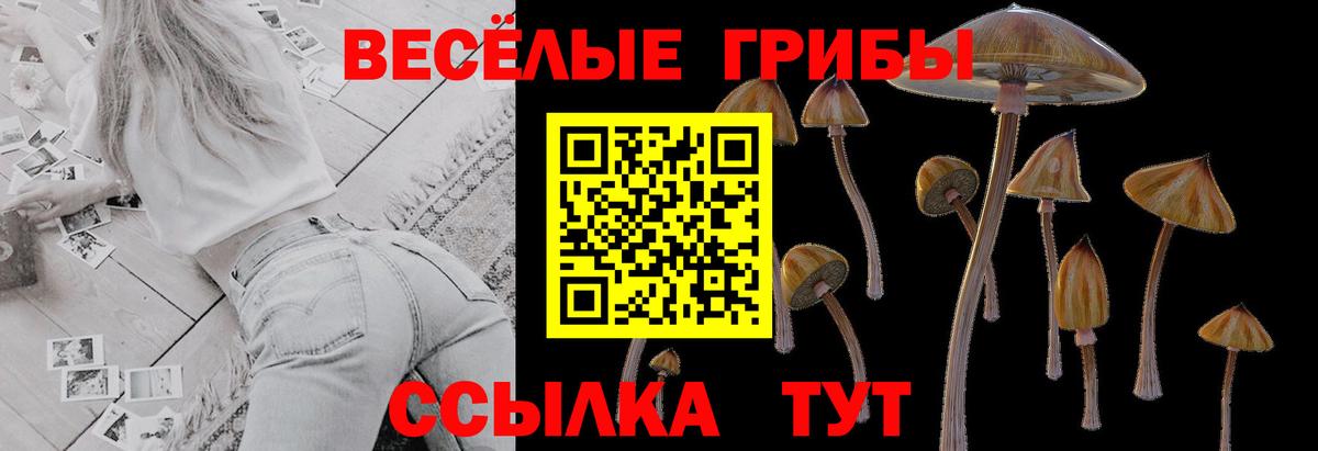 Галлюциногенные грибы мухоморы Мыски